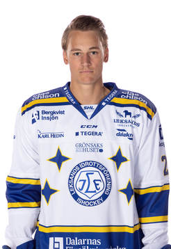 Leksands David Rundqvist