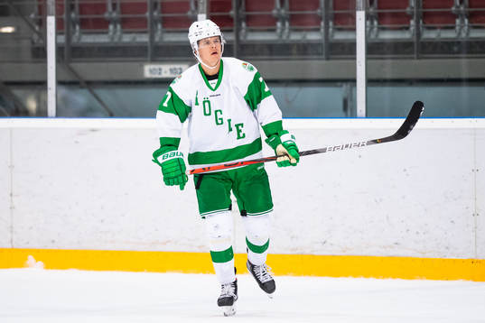 Rögles Erlend Lesund
