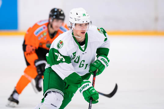 Rögles Dominik Bokk