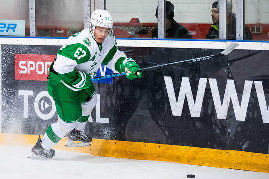 Rögles Leon Bristedt