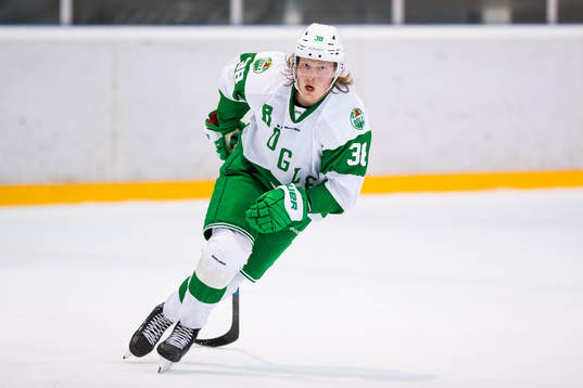Rögles Erik Andersson