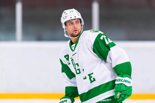 Rögles Daniel Zaar