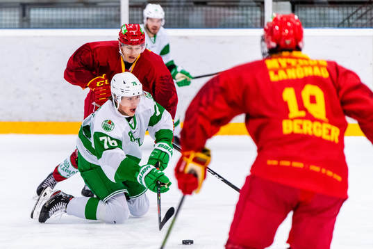 Rögles Dominik Bokk