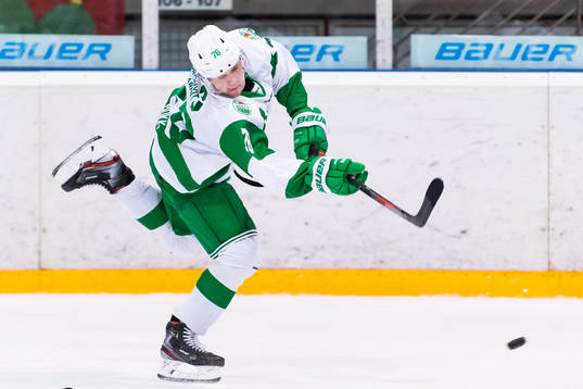 Rögles Dominik Bokk