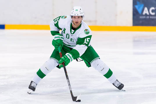 Rögles Simon Ryfors