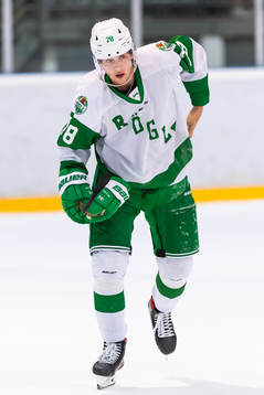 Rögles Dominik Bokk