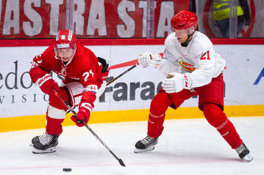 Timrås Sebastian Kaijser och Almtunas Oscar Pentler