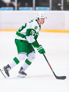 Rögles Dominik Bokk