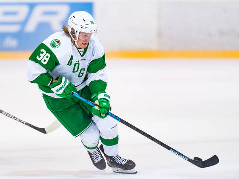 Rögles Erik Andersson