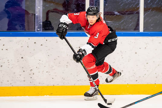 Malmö Redhawks Malte Setkov