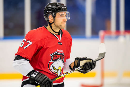 Malmö Redhawks Konstantin Komarek