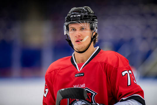 Malmö Redhawks Adam Ollas Mattsson