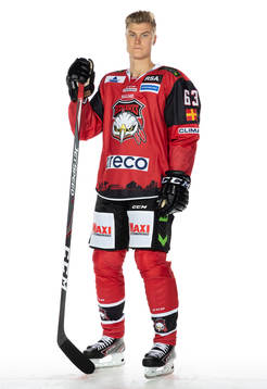 Malmö Redhawks Fredrik Händemark 2