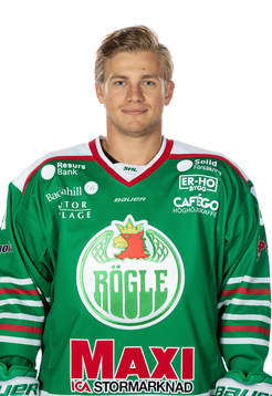 Rögles Leon Bristedt