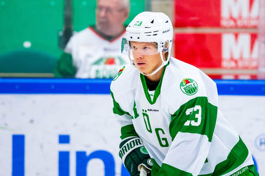 Rögles Anton Heikkinen