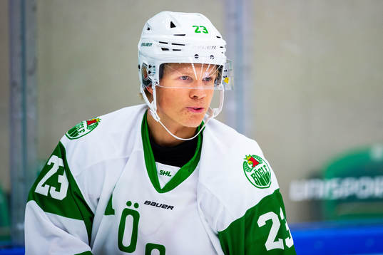 Rögles Anton Heikkinen