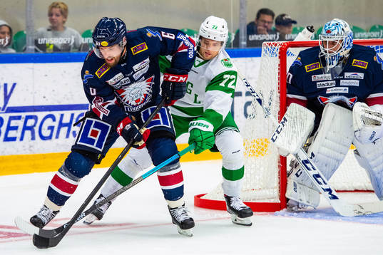 Bläddra bland fler bilder av Ishockey, Träningsmatch, Rögle - Linköping