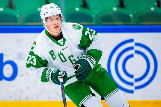 Rögles  Anton Heikkinen