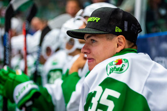 Rögles  Roman Will