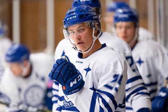 Leksands David Rundqvist