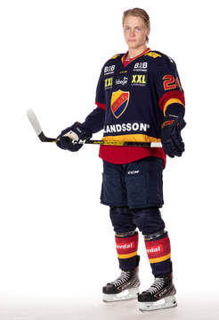 Djurgårdens Erik Walli-Walterholm