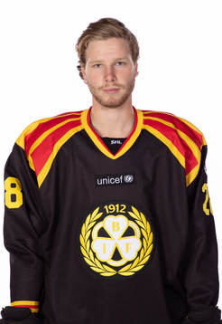 Brynäs Lukas Zetterberg