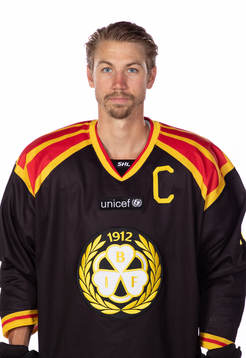 Brynäs Anton Rödin