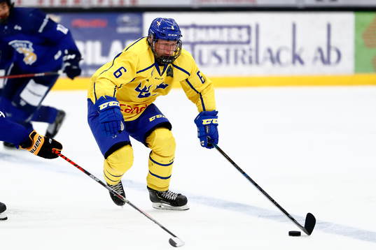 Sveriges Victor Sjöholm