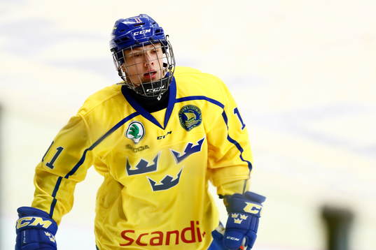 Sveriges Fabian Lysell