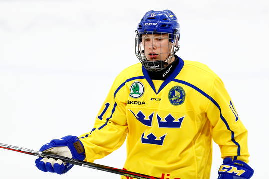 Sveriges Fabian Lysell