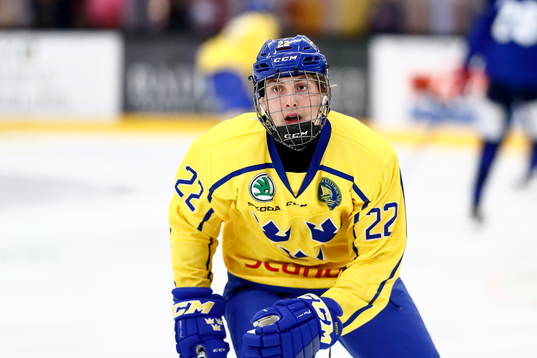 Sveriges Ludwig Persson