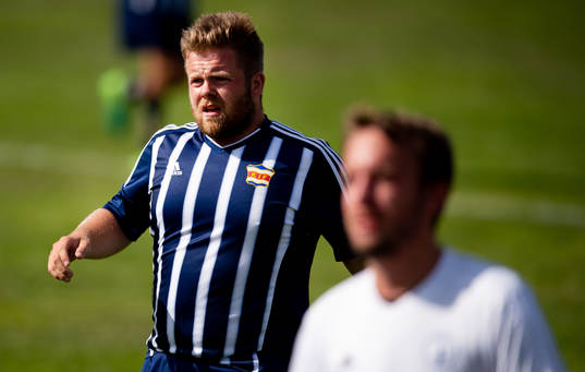 Robin Persson, Kovland
