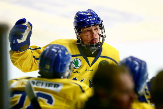 Sveriges Fabian Lysell jublar