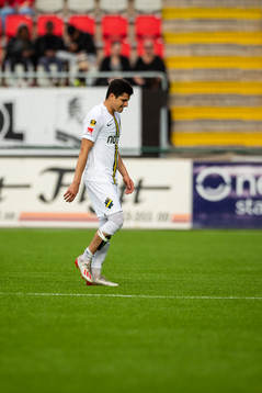 s Tarik Elyounoussi  lämnar planen skadad