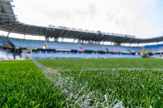 Hybridgräs på Gamla Ullevi