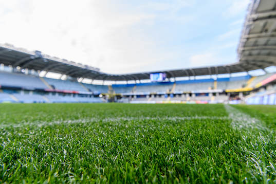 Hybridgräs på Gamla Ullevi