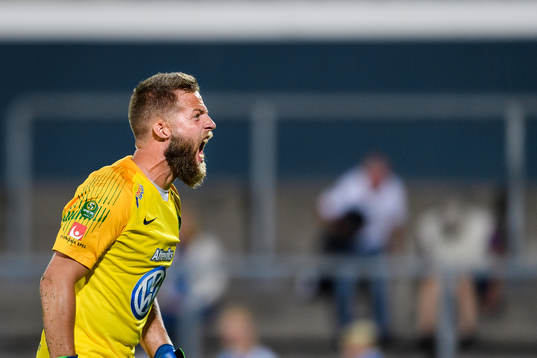 Jönköpings målvakt Frank Pettersson jublar