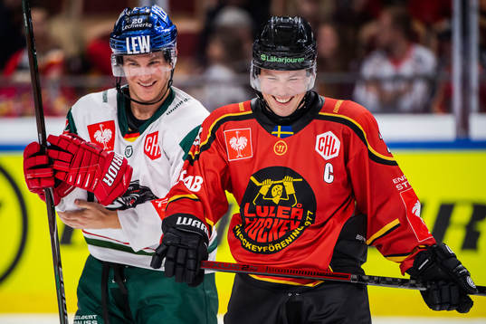 Patrick McNeill of Augsburger Panthers  and Erik Gustavsson
