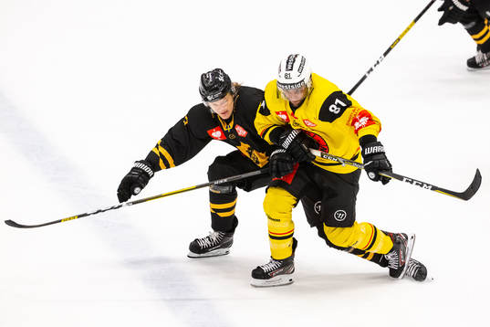 Albin Eriksson of Skellefteå and Thomas Rüfenacht of Bern