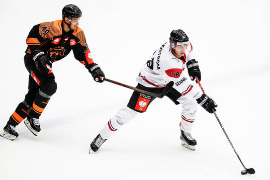 Sebastian Collberg of Graz99ers and Johan Sundström of