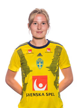 Sveriges Saga Jontoft