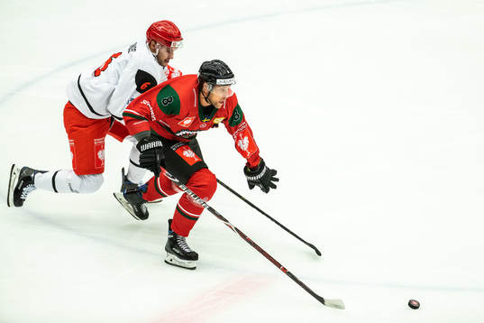 Viktor Ekbom of Frölunda and Lukas Cingel of Mountfield