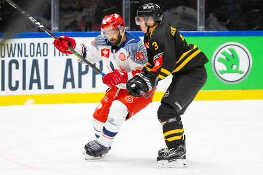 Sébastien Rohat of Grenoble and Niclas Burström of