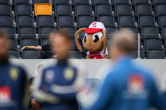 A mascot in the stands