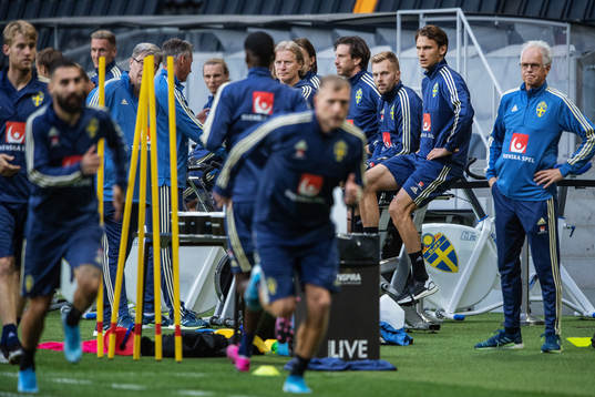 Sebastian Larsson and Albin Ekdal of the Swedish national