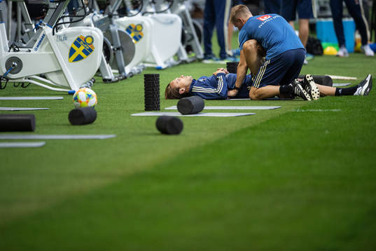 Albin Ekdal of the Swedish national football team