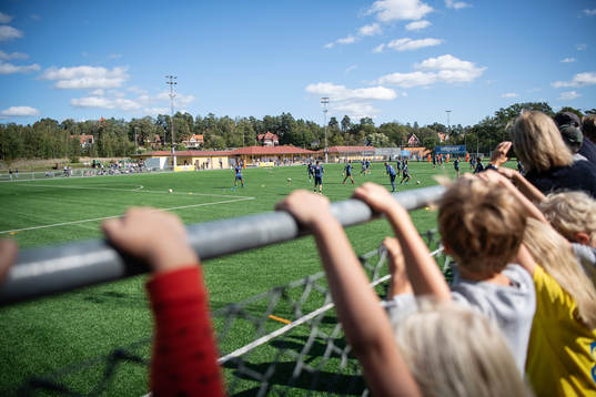 of the Swedish national football team