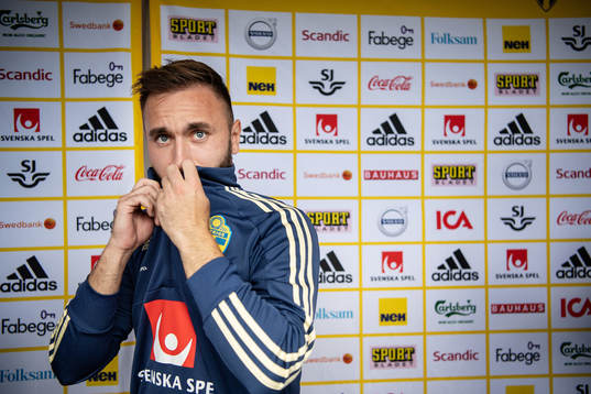 Muamer Tankovic of the Swedish national football team