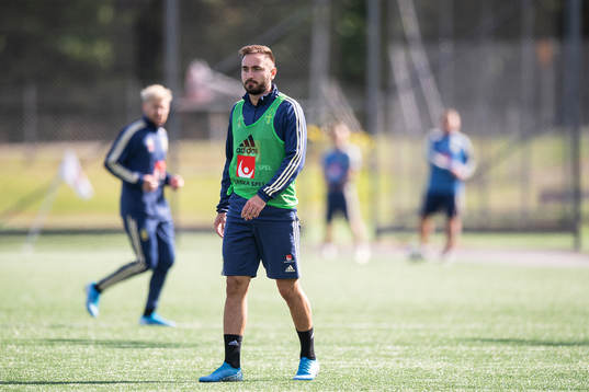 Muamer Tankovic of the Swedish national football team