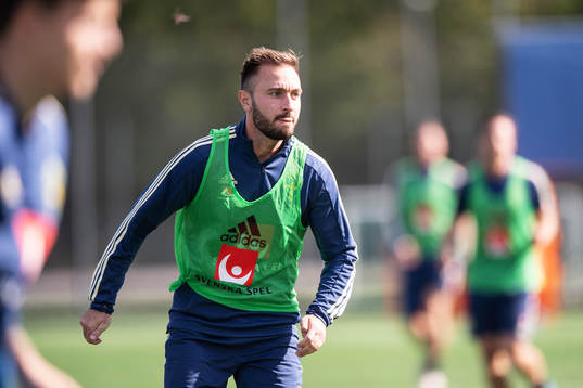 Muamer Tankovic of the Swedish national football team